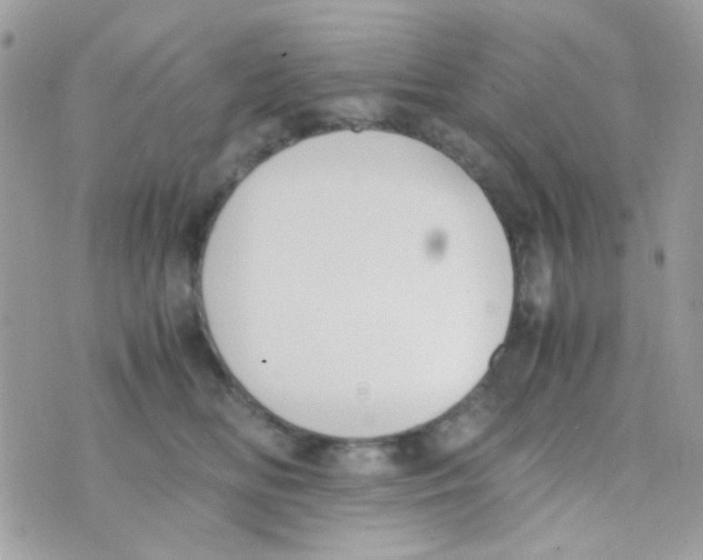 X0000074970518200609291941