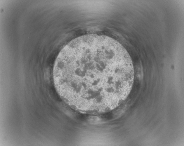 X0000074970519200609291941