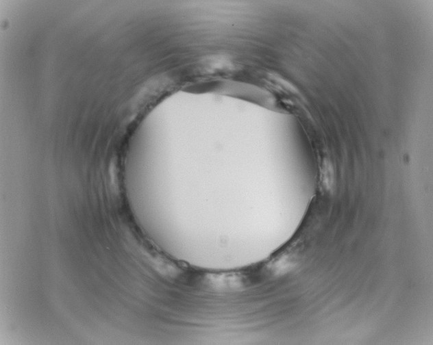 X0000074970520200609291941