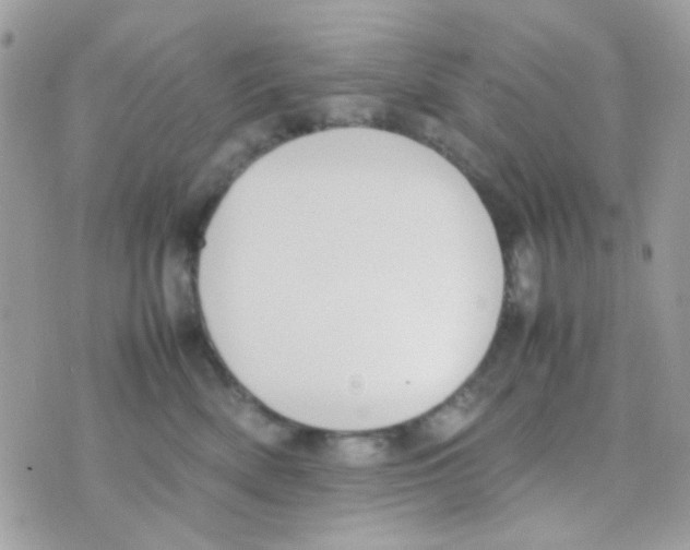 X0000074970522200609291941