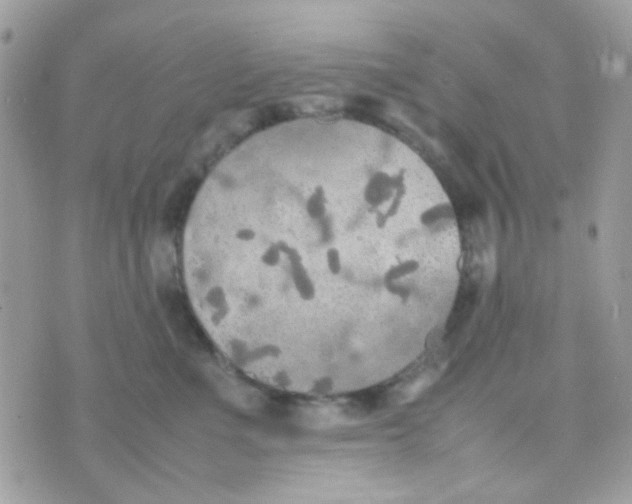 X0000074970523200609291941