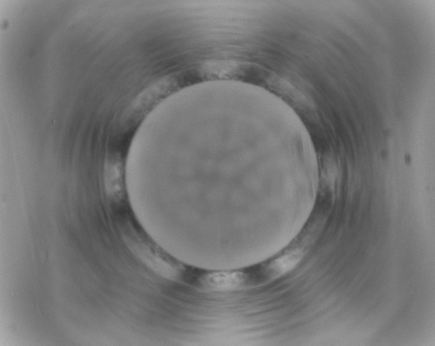 X0000074970526200609291941