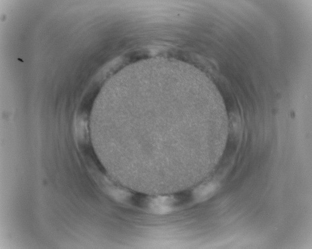 X0000074970527200609291941