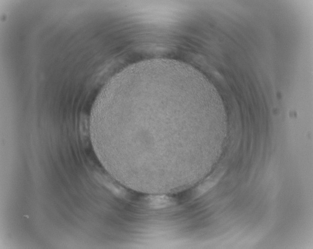 X0000074970528200609291941