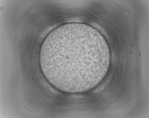 X0000074970529200609291940