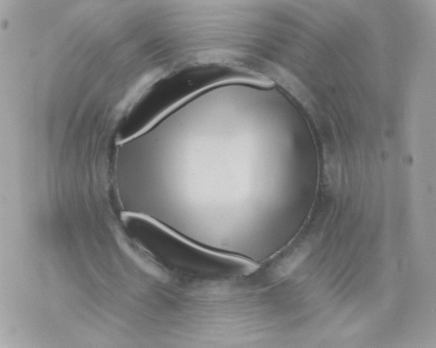 X0000074970530200609291940