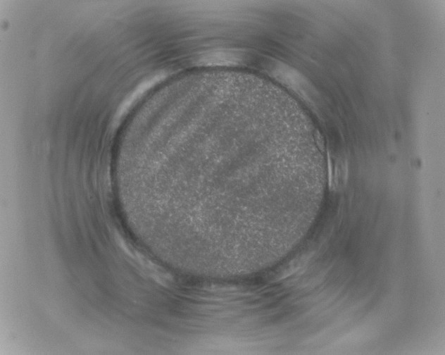 X0000074970531200609291940