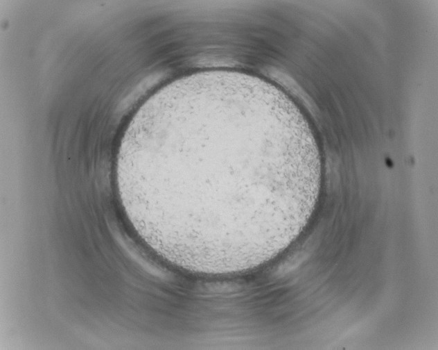 X0000074970533200609291940