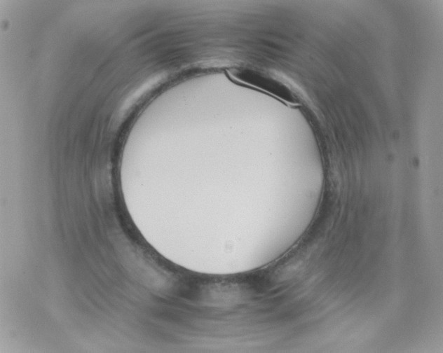 X0000074970535200609291940