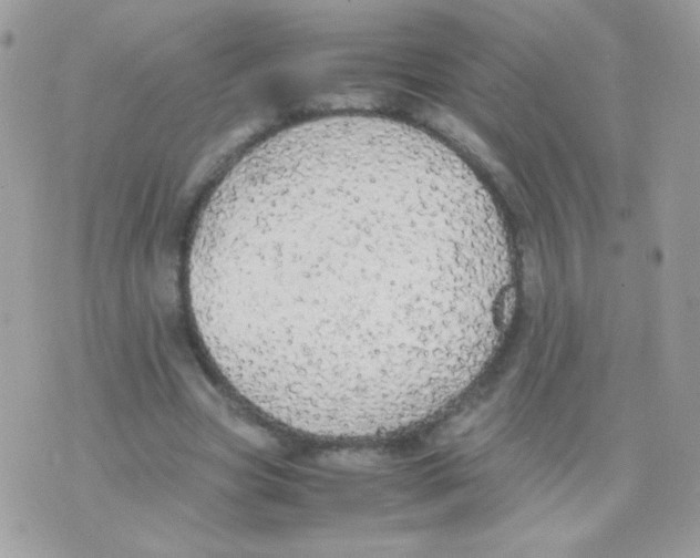 X0000074970537200609291940