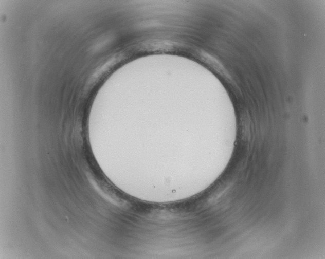 X0000074970538200609291940