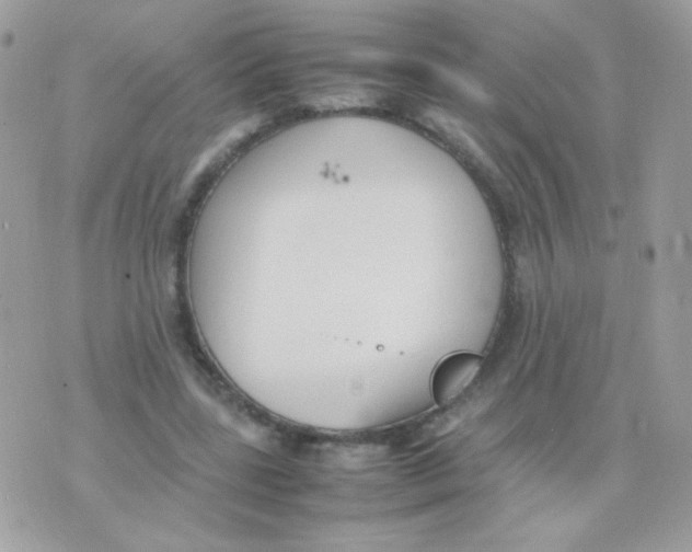 X0000074970539200609291940