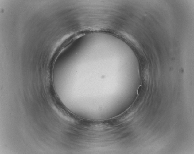 X0000074970540200609291940