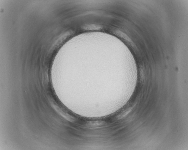 X0000074970541200609291940