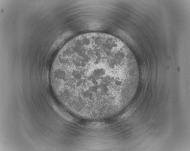 X0000074970542200609291940