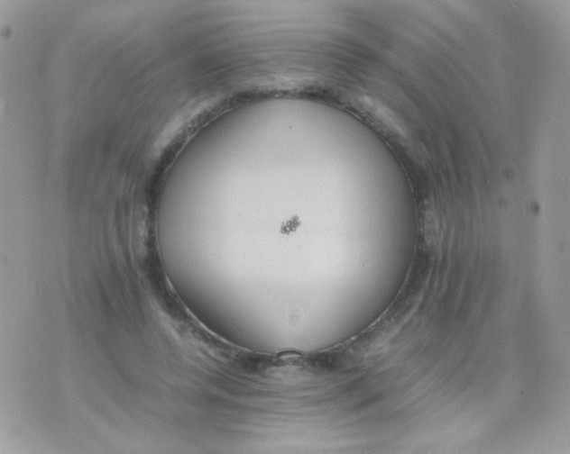 X0000074970544200609291941