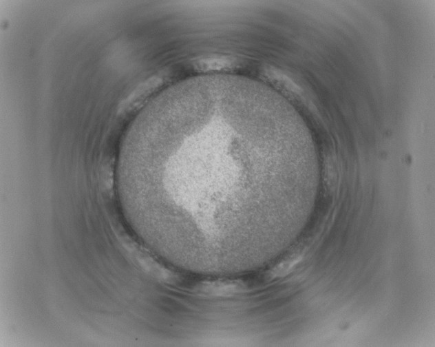 X0000074970545200609291941