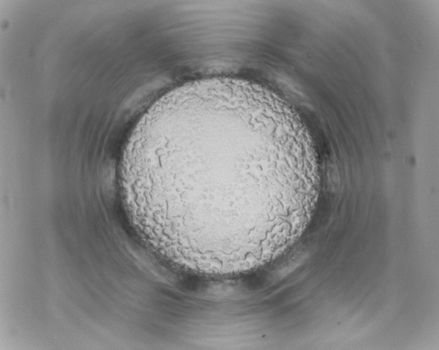 X0000074970550200609291941