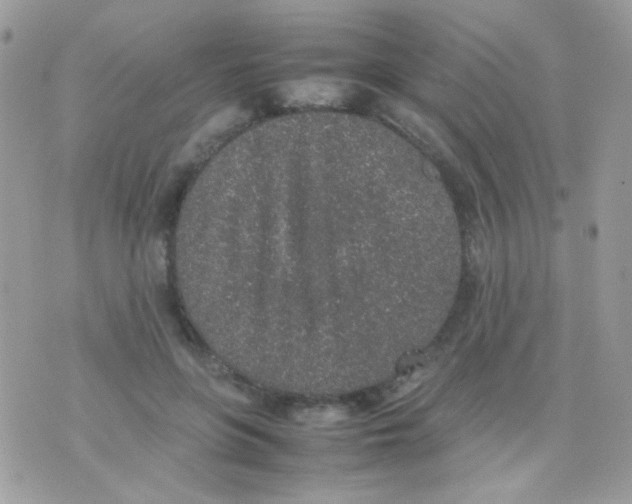 X0000074970551200609291941