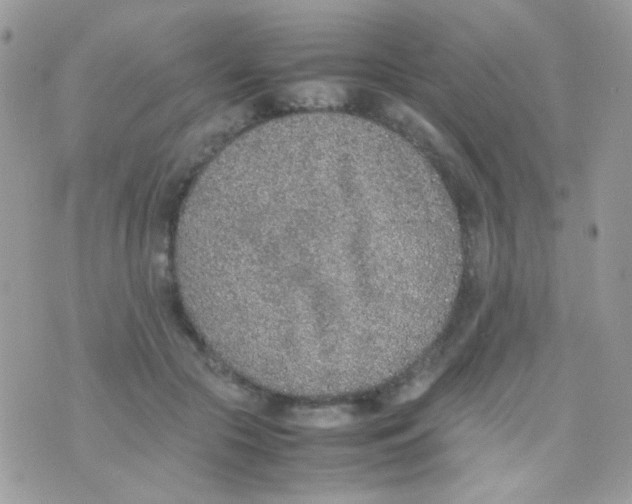 X0000074970553200609291941