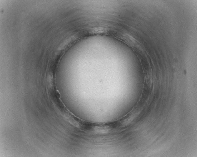 X0000074970556200609291941