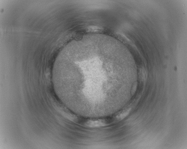 X0000074970557200609291941