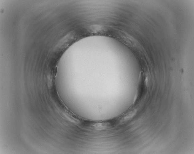 X0000074970558200609291941