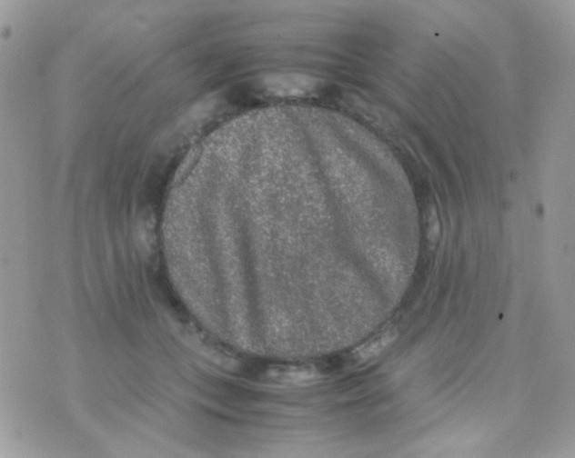 X0000074970559200609291941