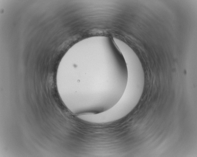 X0000074970560200609291941