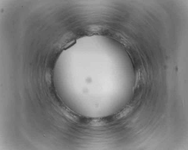 X0000074970562200609291941