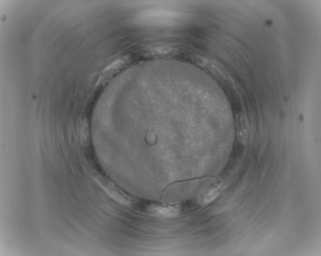 X0000074970563200609291941