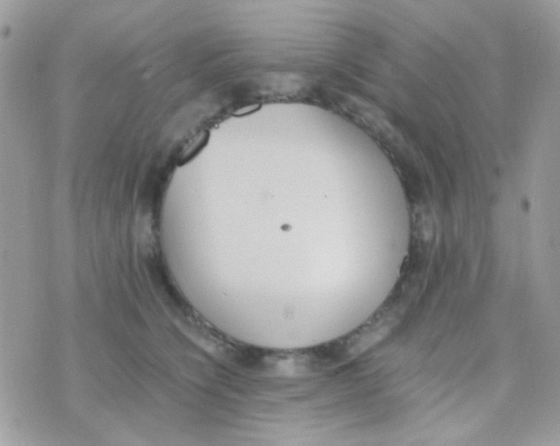 X0000074970564200609291941