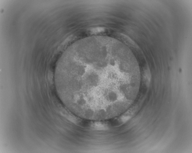 X0000074970565200609291941