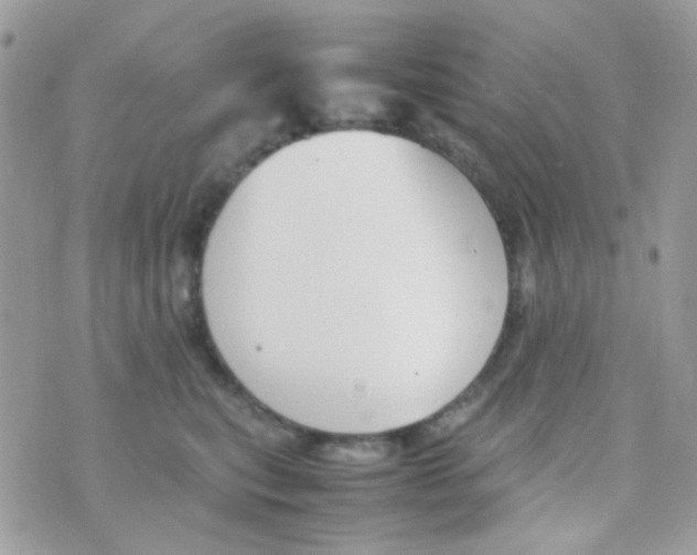 X0000074970567200609291941