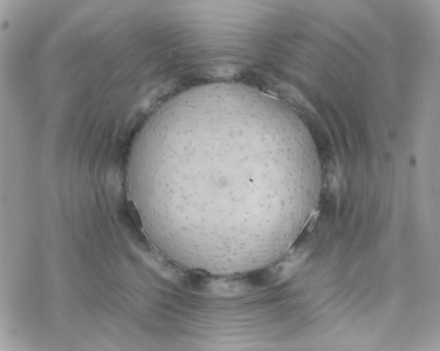 X0000074970568200609291941