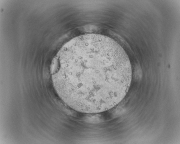 X0000074970569200609291941