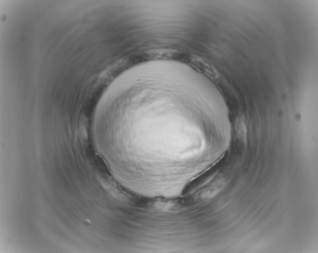 X0000074970570200609291941