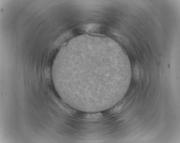 X0000074970571200609291941