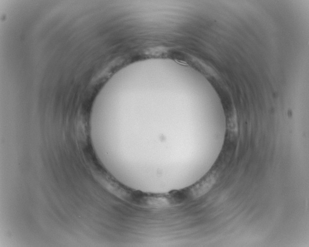 X0000074970572200609291941