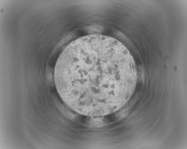 X0000074970573200609291941