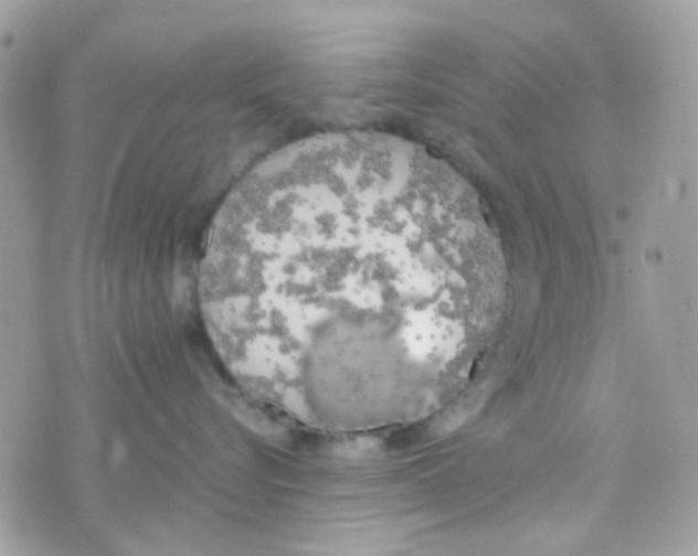 X0000074970576200609291941