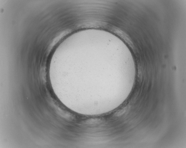 X0000074970578200609291940