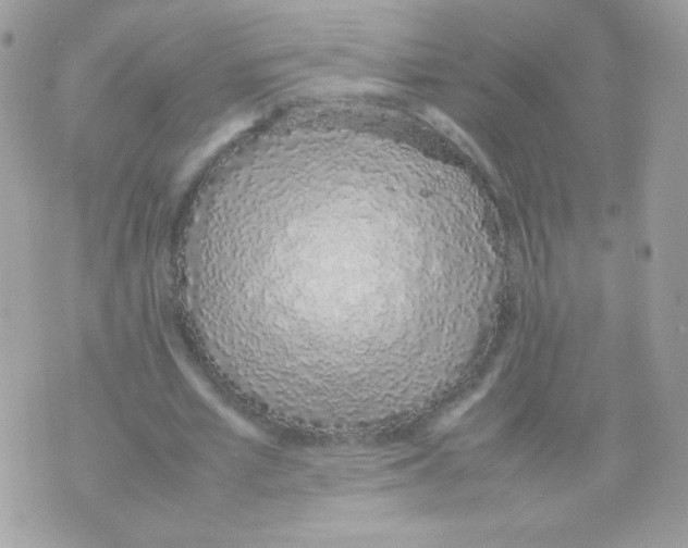 X0000074970581200609291940