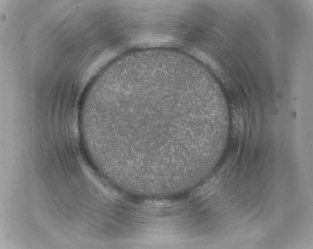 X0000074970582200609291940