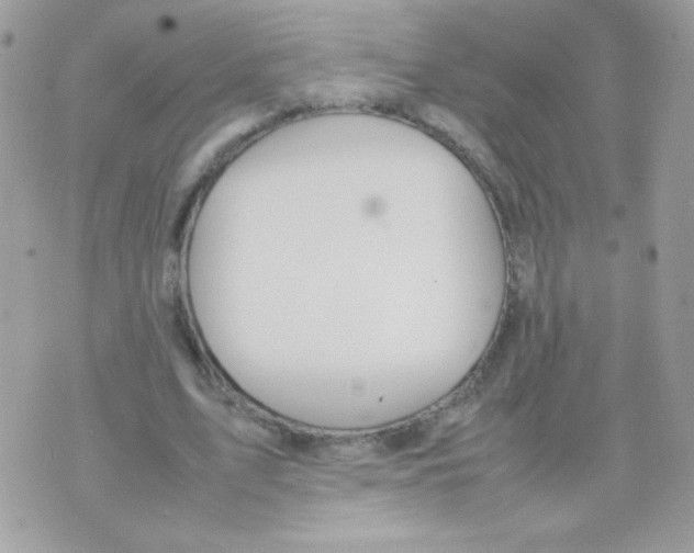 X0000074970583200609291940