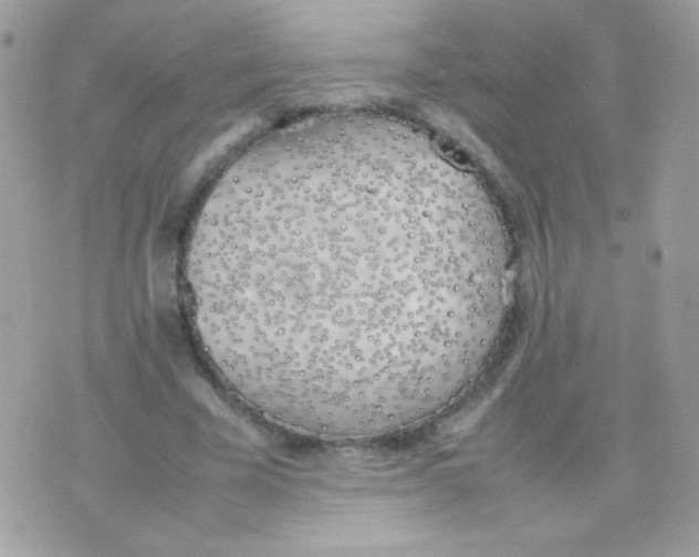 X0000074970585200609291940