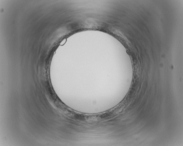 X0000074970587200609291940