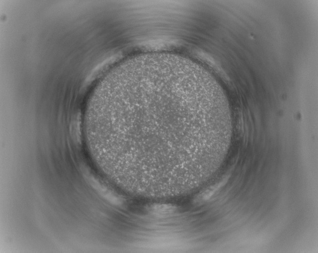 X0000074970590200609291940