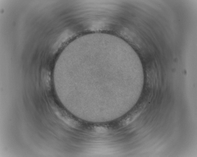 X0000074970592200609291940