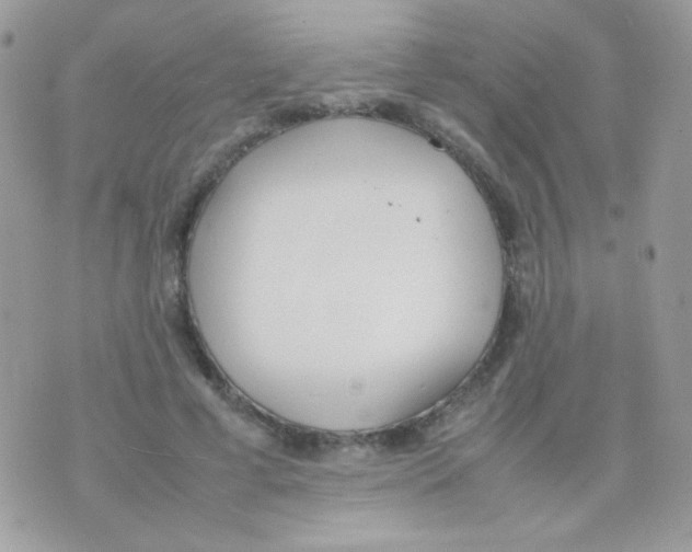 X0000074970593200609291940